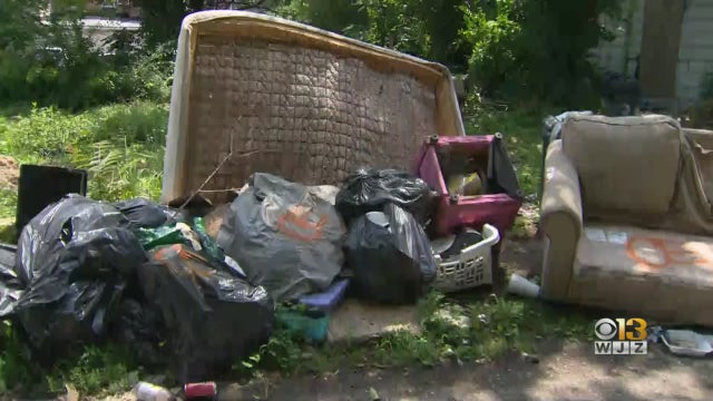 trash-dumping.jpg 