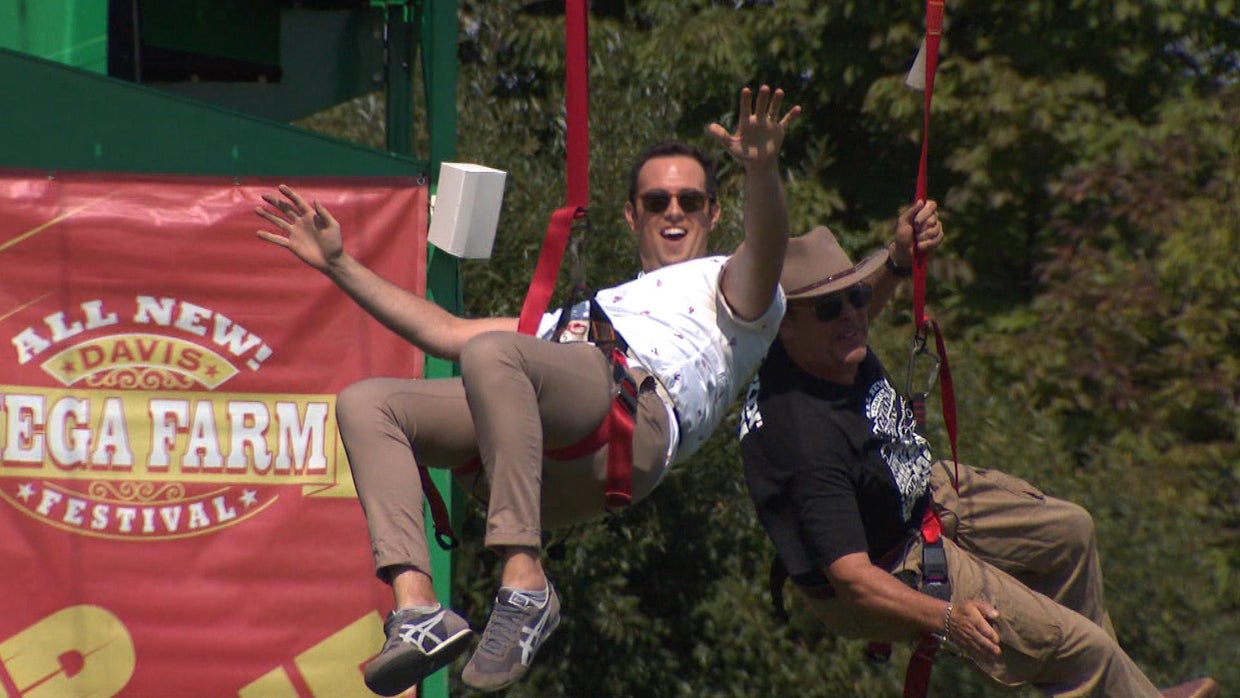 It Happens Here: Sterling's Mega Corn Maze - CBS Boston