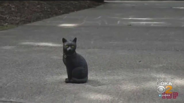 kdka.jpg 