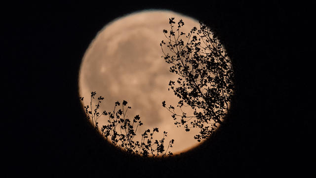 harvest-moon.jpg 