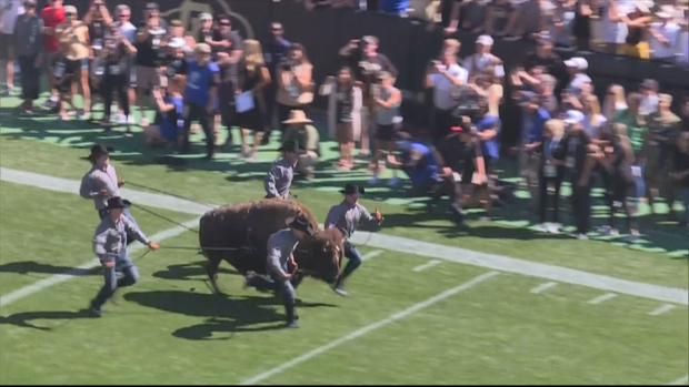 CU AIR FORCE 5PKG.transfer_frame_680