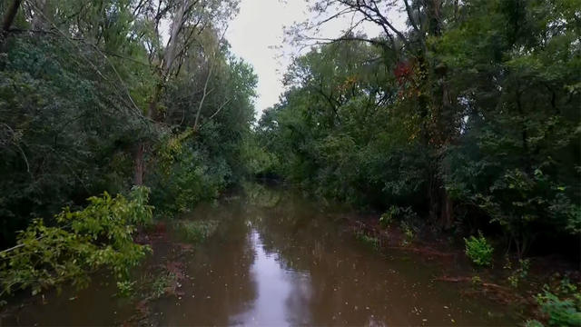 Des_Plaines_River_Flooding_0915.jpg 