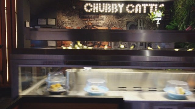 chubby-cattle.jpg 