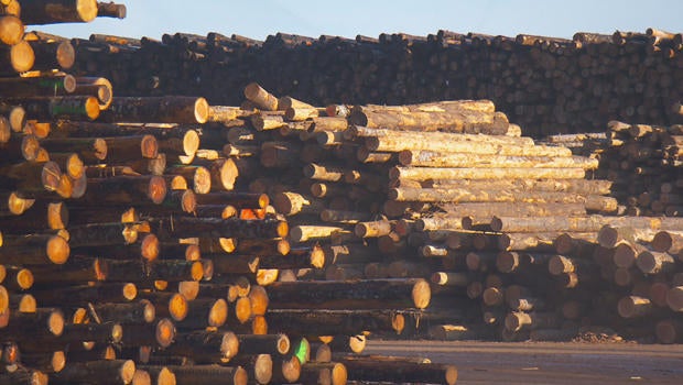 timber-oregon-620.jpg 