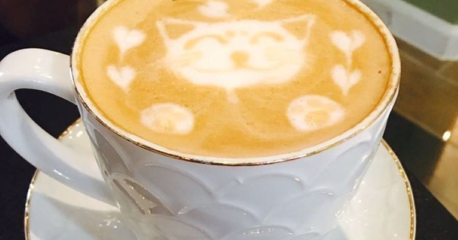 These 3 Aurora Cafes Offer Diverse Choices CBS Colorado