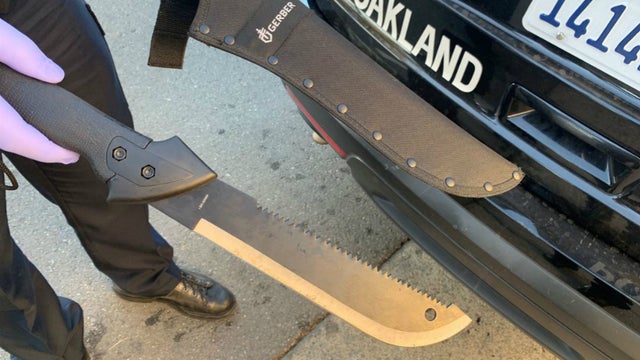 machete.jpg 