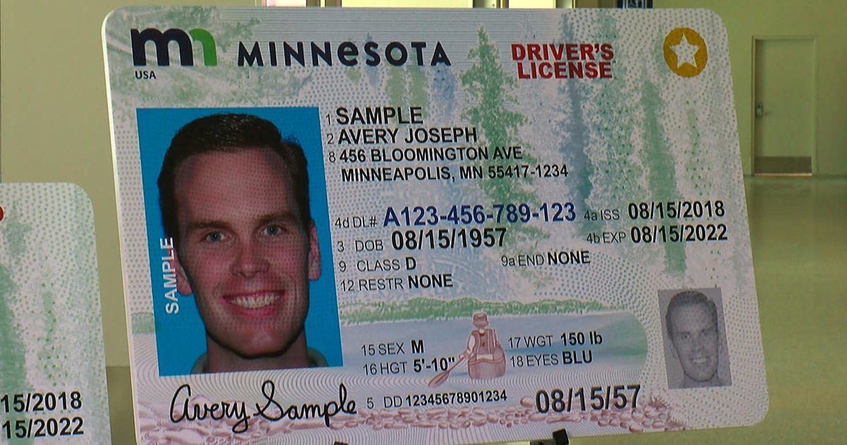 real id mn travel