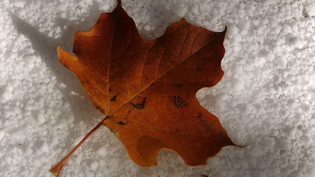 GettyImages-72153882.jpg 