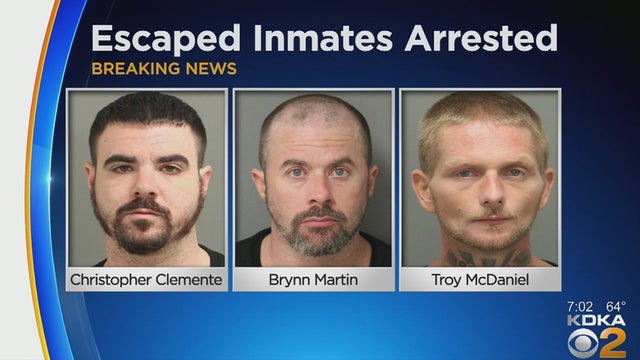 christopher-clemente-brynn-martin-troy-mcdaniel