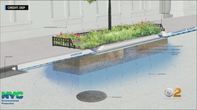 rain garden 
