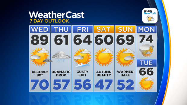 Nu_Tu_7Day_Auto_Logo 