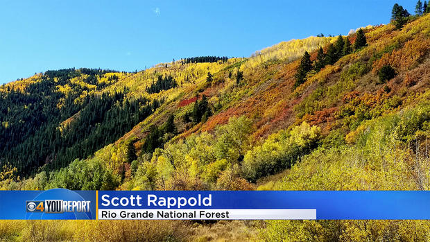 Colorado-fall-colors-11.jpg 