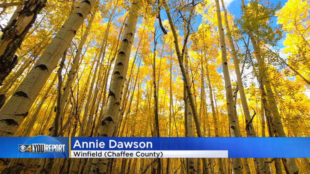 Colorado-fall-colors-12.jpg 