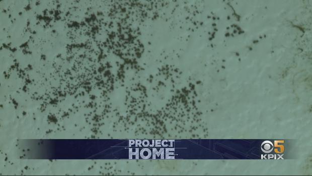 Mold found in Corie Crowe's affordable Housing (CBS) 