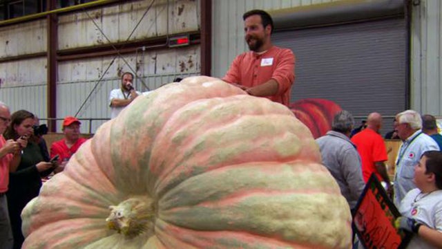 191007134742-record-heaviest-pumpkin-weigh-off-winner-topsfield-fair-dnt-vpx-00005508-live-video.jpg 