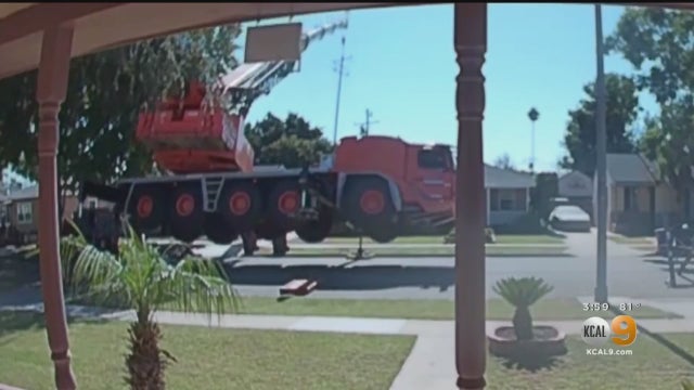 crane5.jpg 
