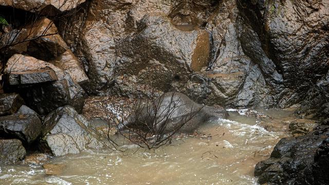 TOPSHOT-THAILAND-ANIMALS-ACCIDENT-ELEPHANTS 