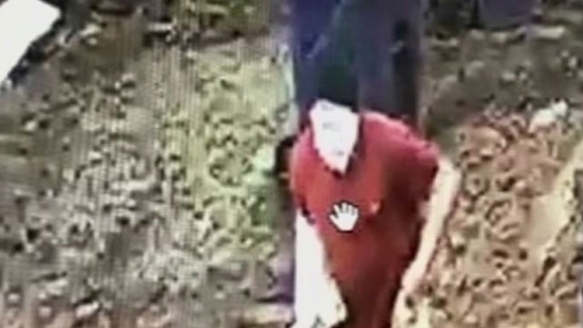 bag-bandit-niagara-falls-02 