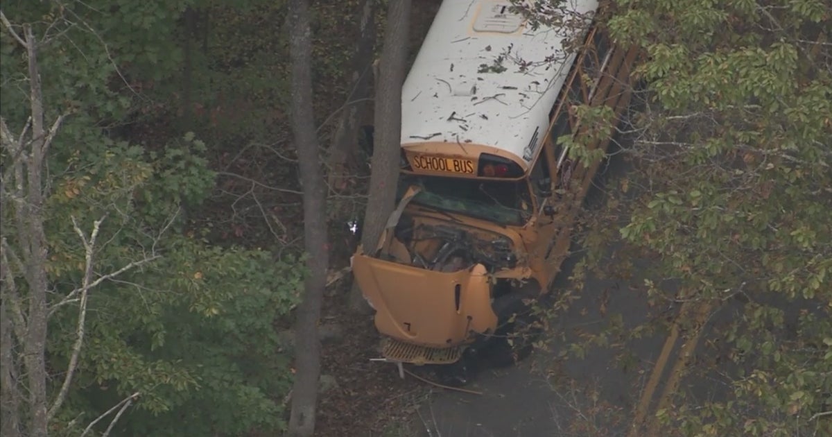 School Bus Strikes Deer, Crashes Into Tree In Montgomery County - CBS ...