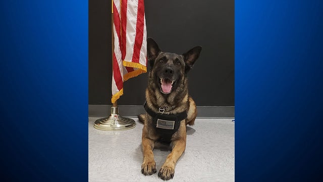 shelby-county-sheriff-k9.jpg 