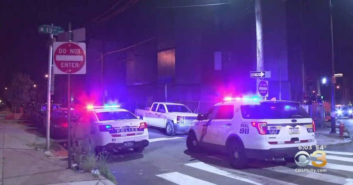 Armed Suspect Tased During Foot Chase In Spring Garden, Police Say ...