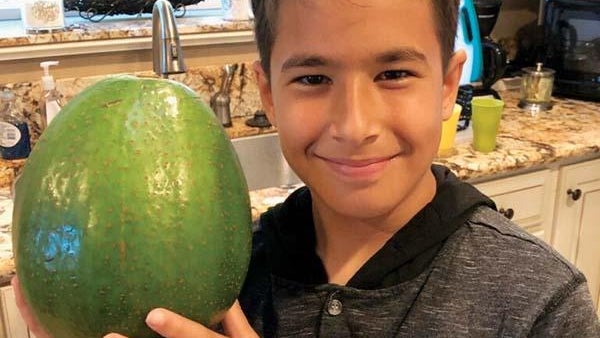 os-avocado-kid.jpg 