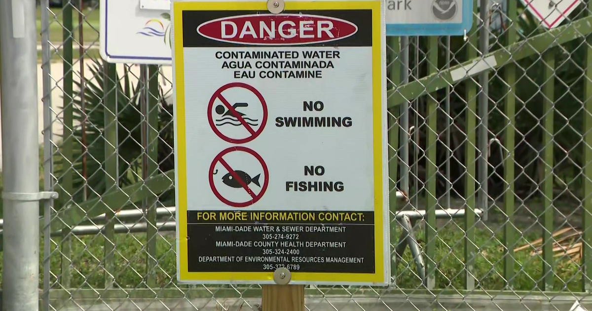 Miami-Dade lifts no-swim advisory for Virginia Key, Biscayne Bay