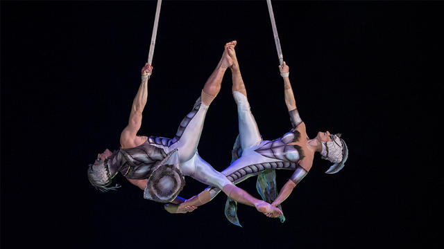 cirque-du-soleil-ovo.jpg 