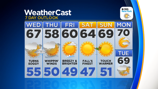 Nu_Tu_7Day_Auto_Logo 