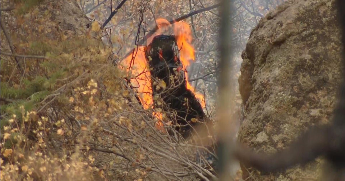 All Elk Fire 100 Contained, Evacuees Allowed To Return Home CBS Colorado