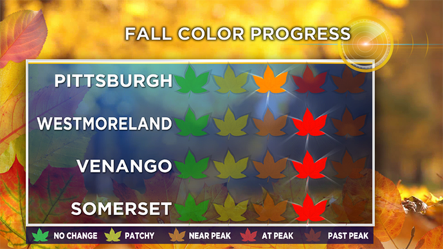 fall-colors.png 