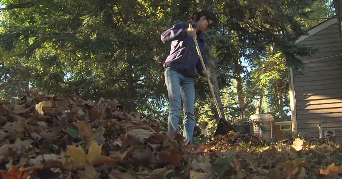 Doctors Warning About Dangers Of Raking Leaves Wrong Way - CBS Philadelphia