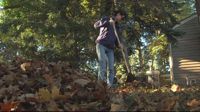 raking-leaves.jpg 