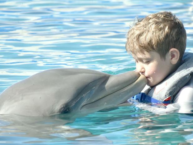 Greyson kissing dolphin 