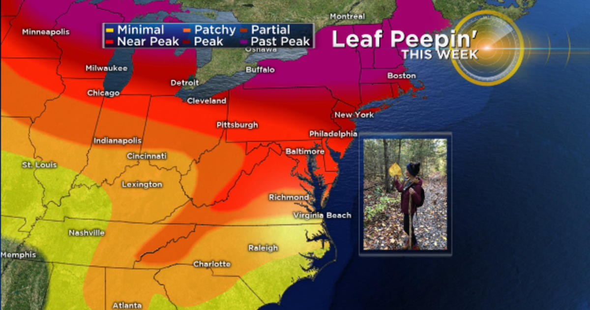 Hoping To Check Out The Fall Foliage In Maryland? Now May Be Your Best