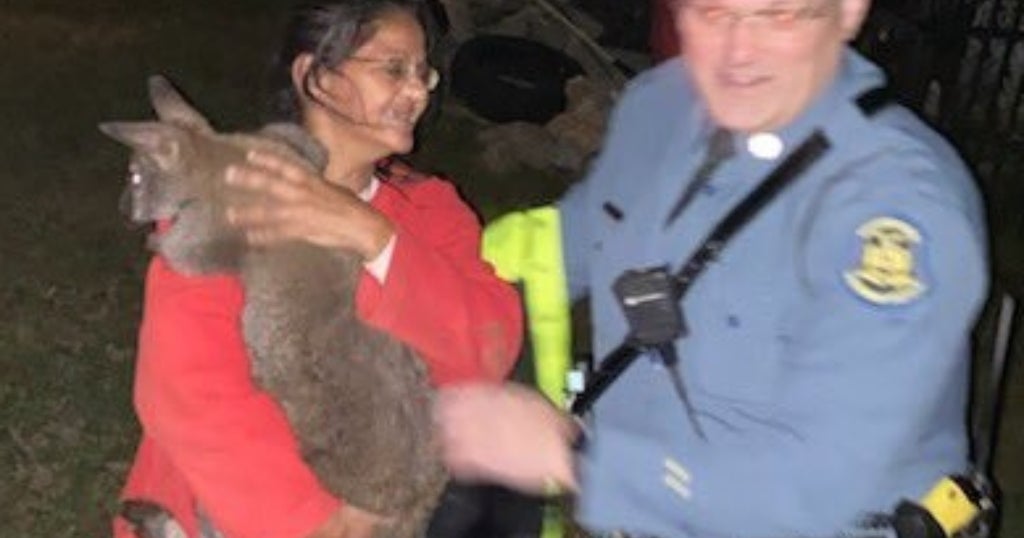 'This Is One To Remember': Trooper Reunites Escaped Emotional Support ...