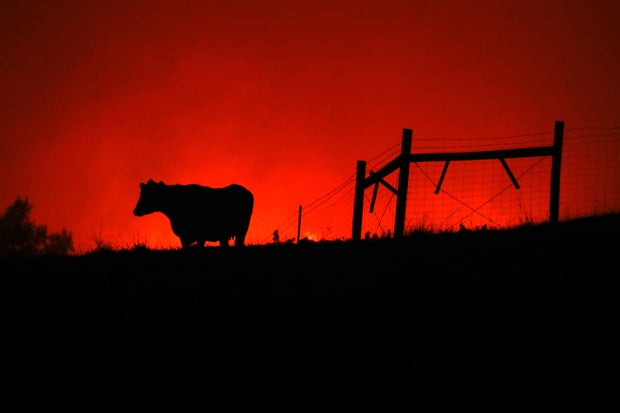Evacuations Issued For Parts of Sonoma County As Kincade Fire Spreads 
