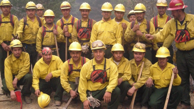 pineros-firefighters.png 