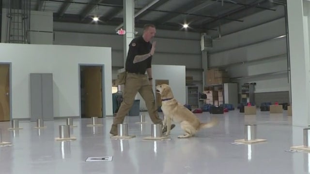 tomhickeydog.jpg 