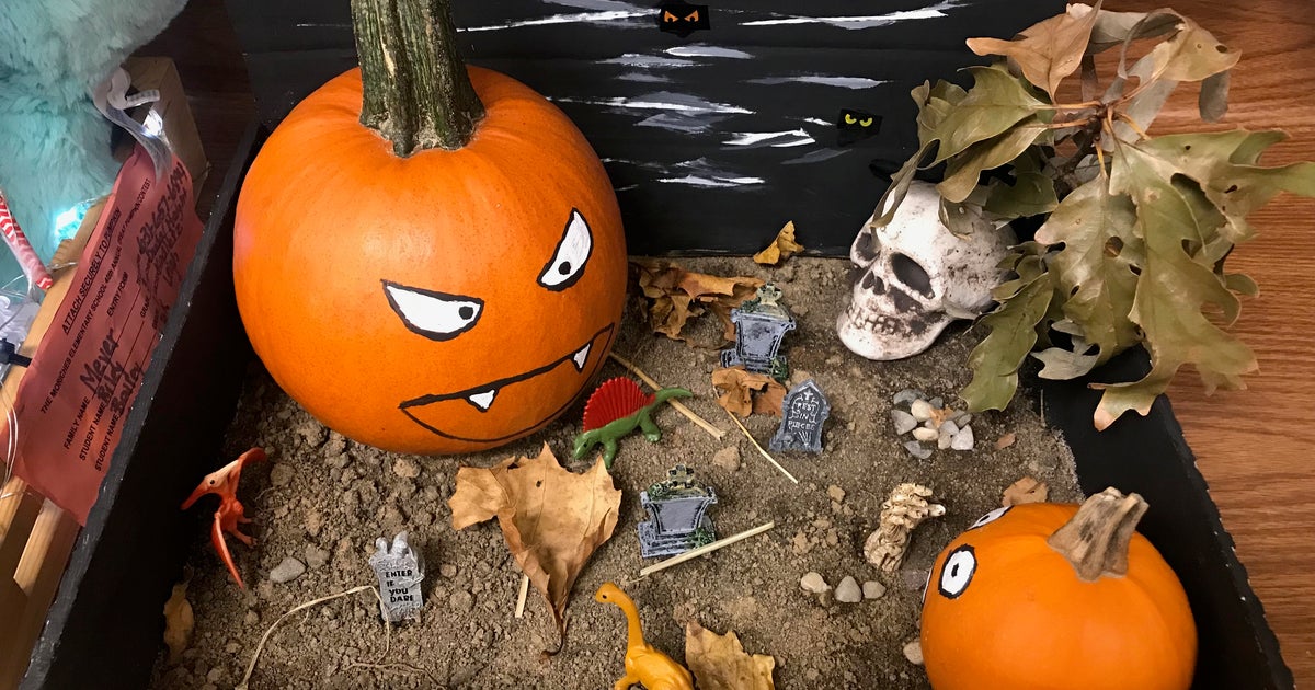 Elementary School On Long Island Hopes Its Pumpkin Contest Will Set A 