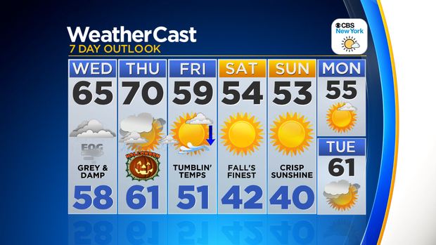 Nu_Tu_7Day_Auto_Logo 