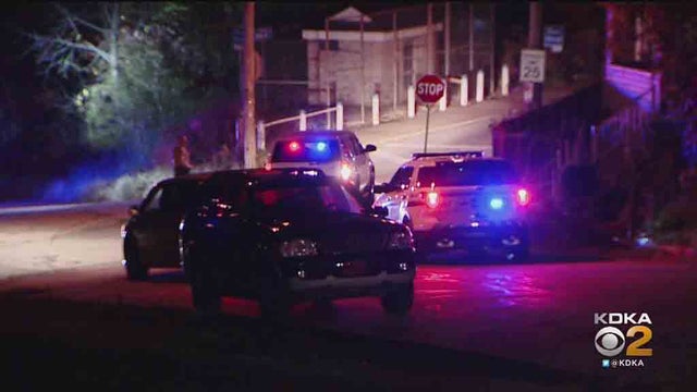policelights.jpg 