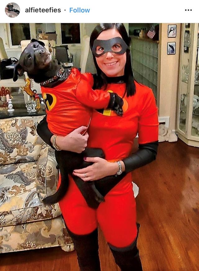 PET-IG-@alfieteefies.jpg 