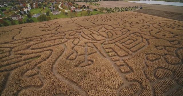 Get lost in the world's largest corn maze