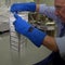 Immunotherapy: A new weapon against cancer