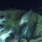 Exploring a U-Boat wreck off North Carolina