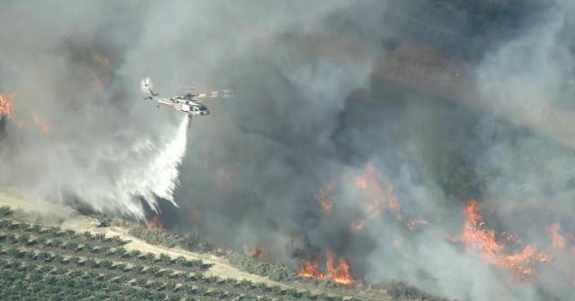 California wildfire destroys 90,000 acres, posing new threat to lime and avocado crops