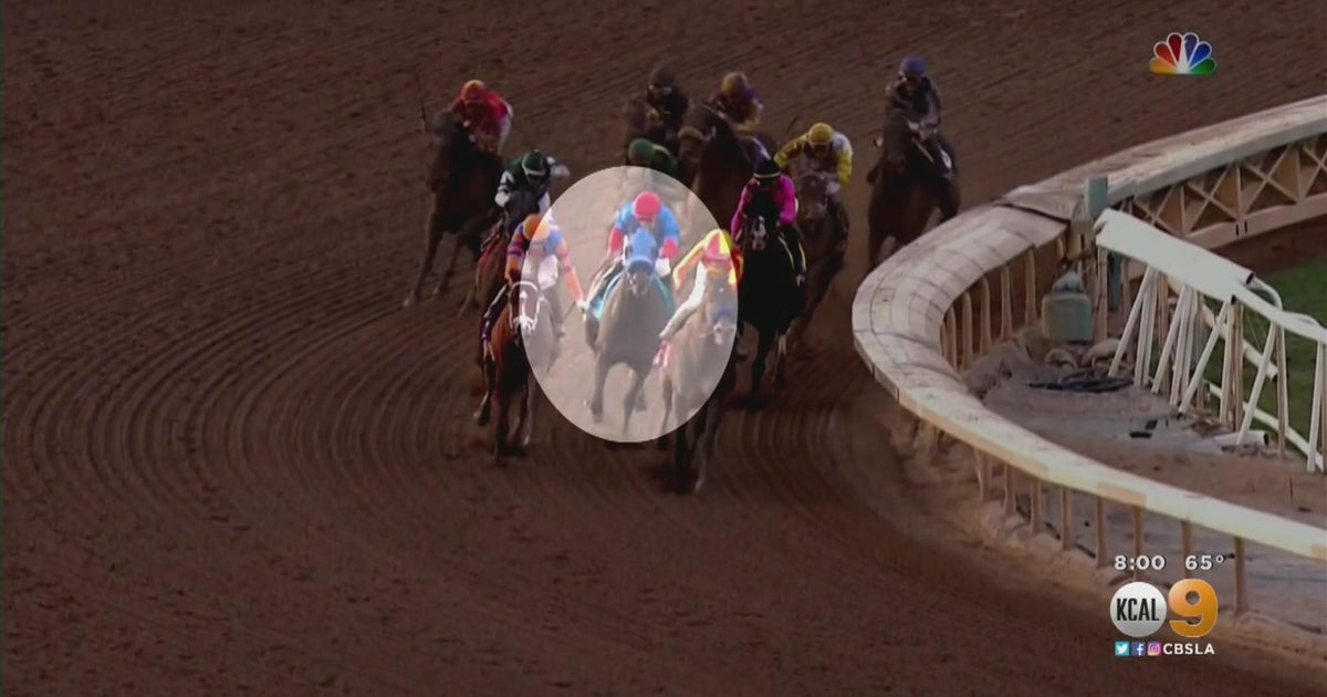 Horse Euthanized After Breeders' Cup Race Injury, 37th Horse To Die At
