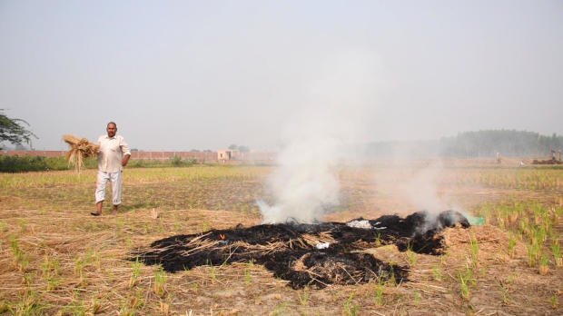 Rohtash, a farmer who didn't want to give his full name, burns his crop stubble in Haryana, India. 
