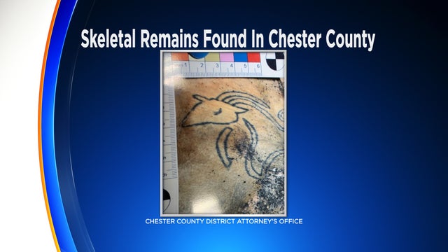 skeletal-remains-found.jpg 